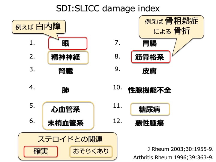 SLICC damage index